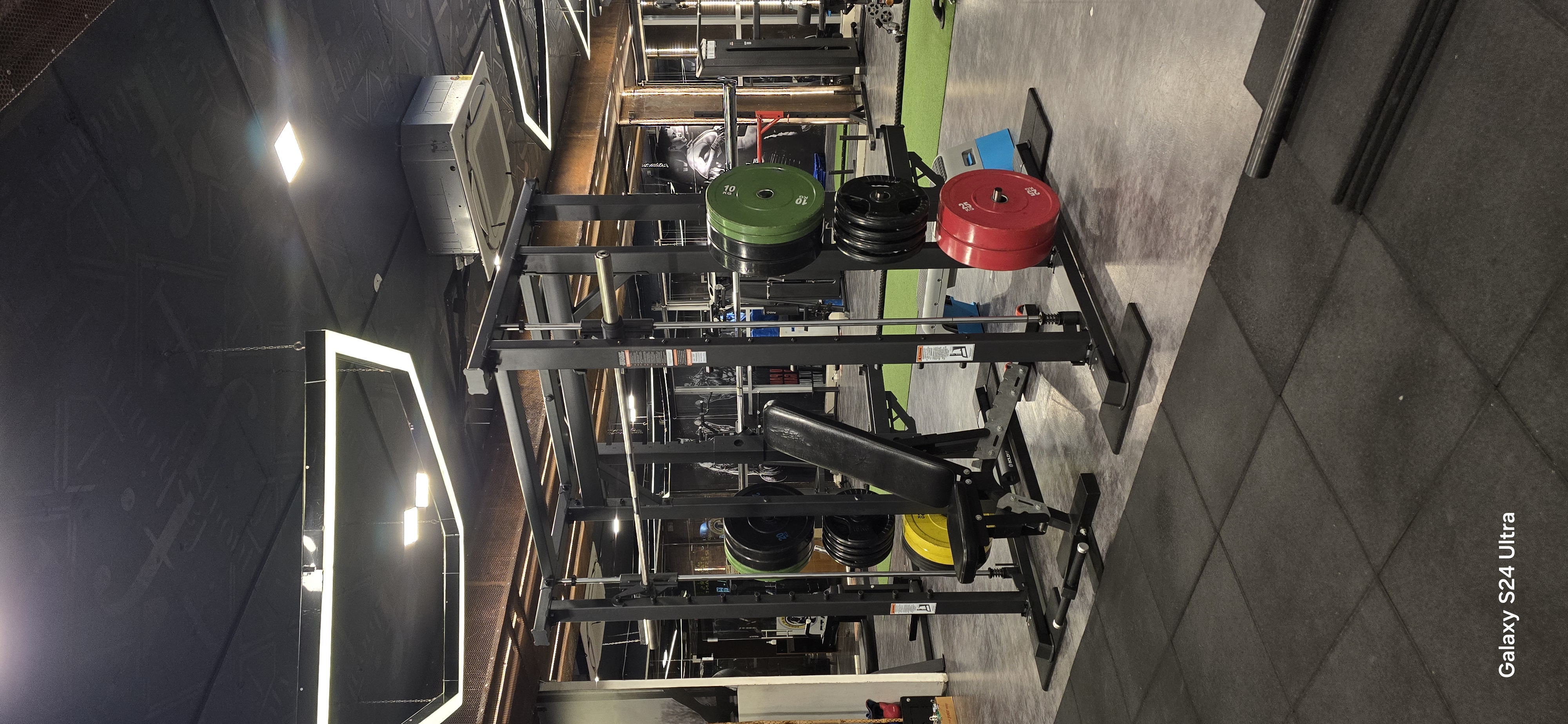 Precision Olympic Plates