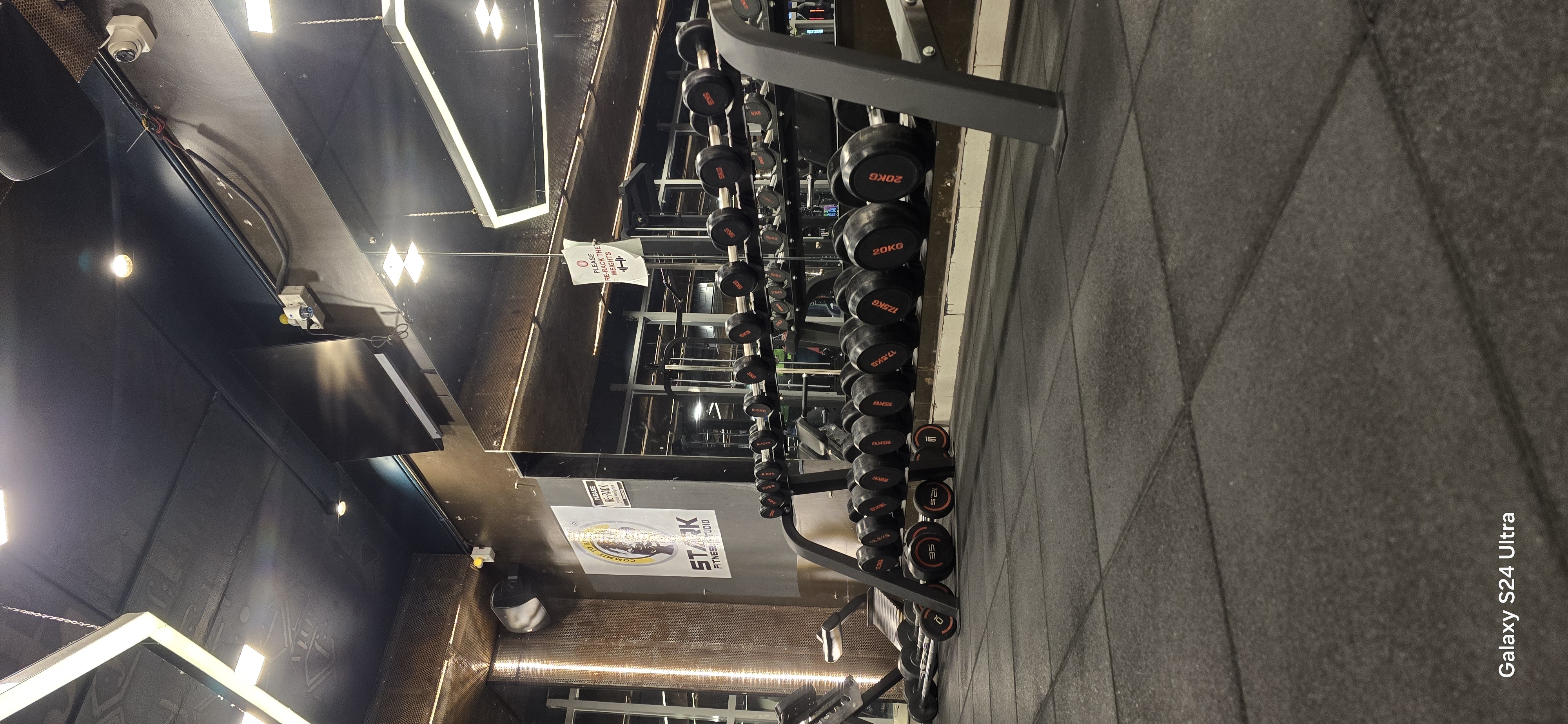 Premium Dumbbell Set Detail