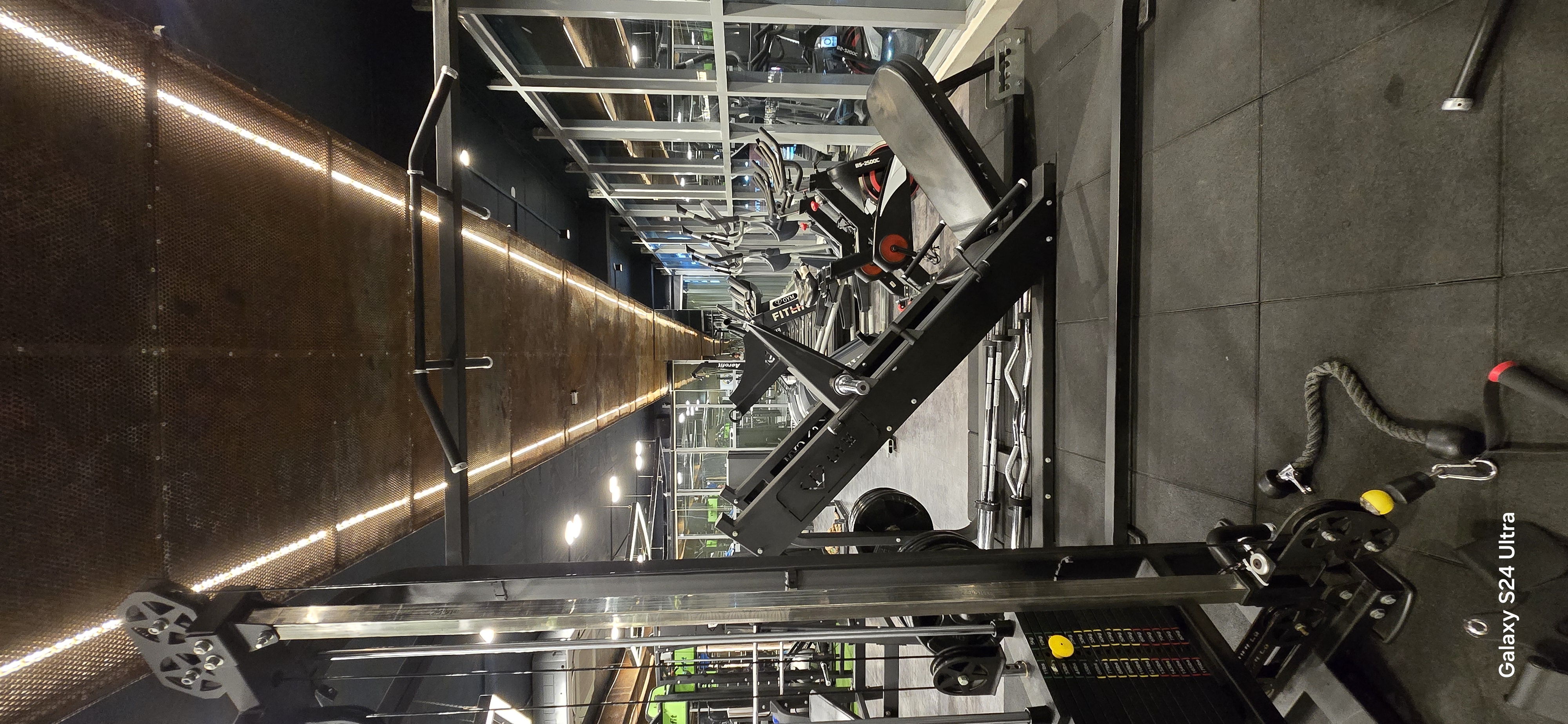 Linear Leg Press